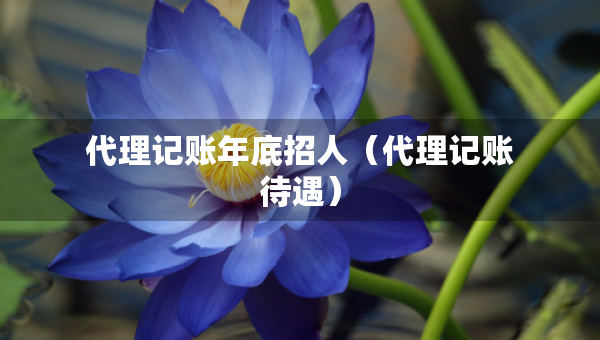 代理记账年底招人（代理记账待遇）