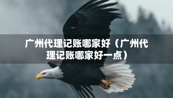 广州代理记账哪家好（广州代理记账哪家好一点）