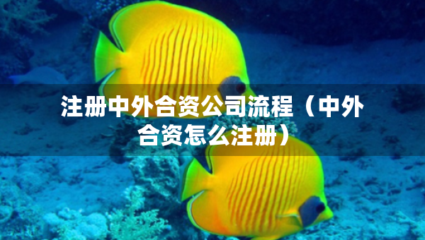 注册中外合资公司流程（中外合资怎么注册）