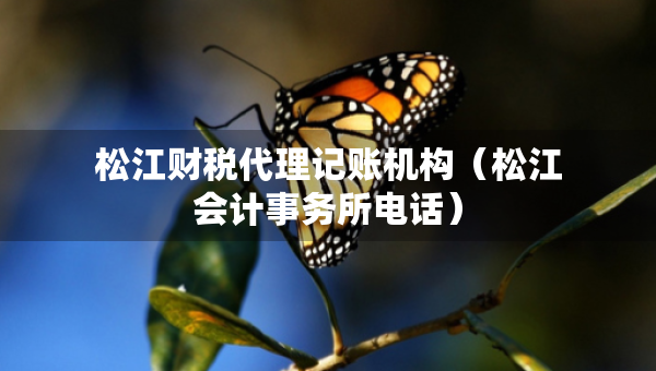 松江财税代理记账机构（松江会计事务所电话）