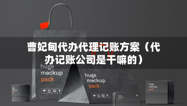 曹妃甸代办代理记账方案（代办记账公司是干嘛的）