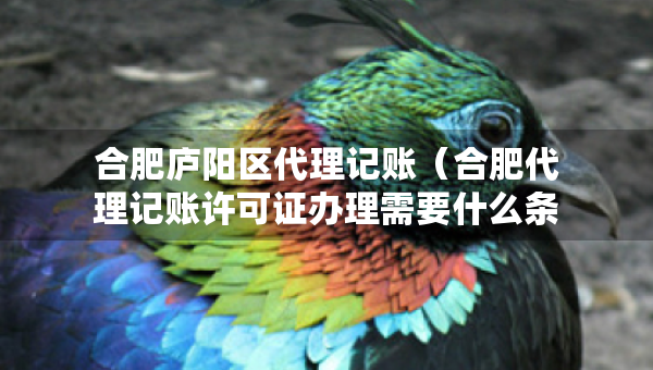合肥庐阳区代理记账（合肥代理记账许可证办理需要什么条件）