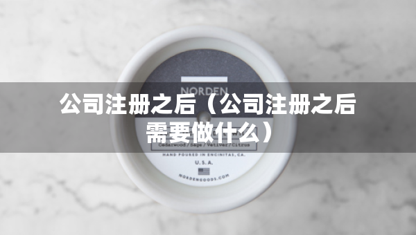 公司注册之后（公司注册之后需要做什么）