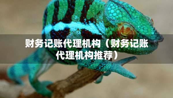 财务记账代理机构（财务记账代理机构推荐）