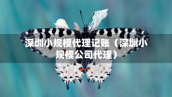 深圳小规模代理记账（深圳小规模公司代理）