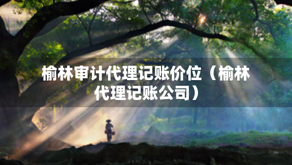 榆林审计代理记账价位（榆林代理记账公司）