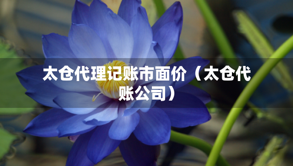 太仓代理记账市面价（太仓代账公司）