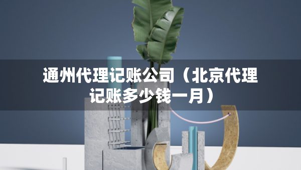通州代理记账公司（北京代理记账多少钱一月）