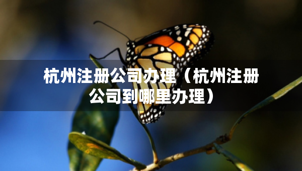 杭州注册公司办理（杭州注册公司到哪里办理）