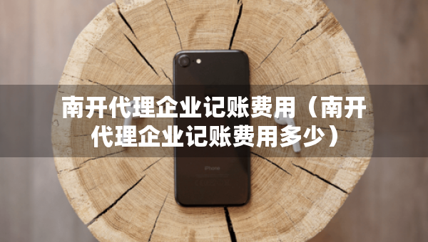 南开代理企业记账费用（南开代理企业记账费用多少）