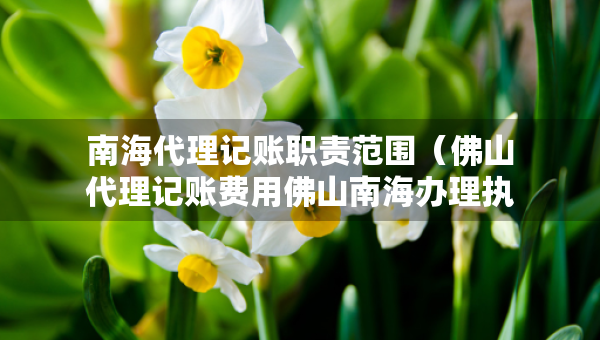 南海代理记账职责范围（佛山代理记账费用佛山南海办理执照流程）