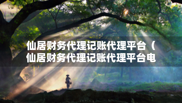 仙居财务代理记账代理平台（仙居财务代理记账代理平台电话）