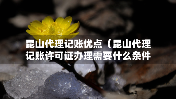 昆山代理记账优点（昆山代理记账许可证办理需要什么条件）
