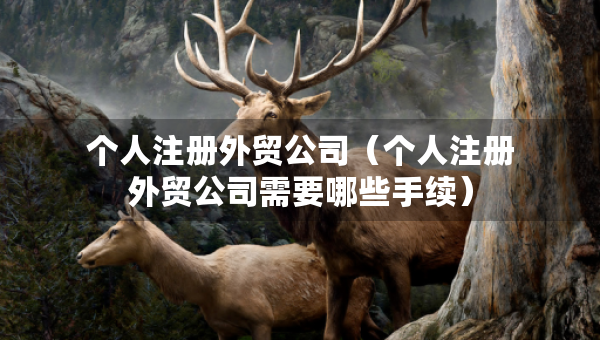 个人注册外贸公司（个人注册外贸公司需要哪些手续）