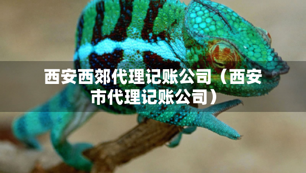 西安西郊代理记账公司（西安市代理记账公司）