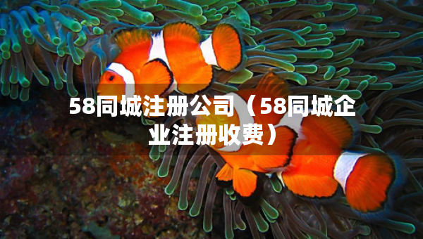 58同城注册公司（58同城企业注册收费）