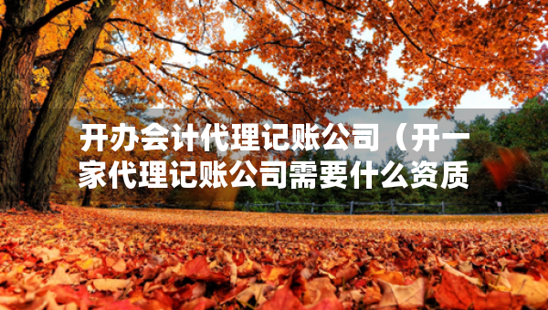 开办会计代理记账公司（开一家代理记账公司需要什么资质）