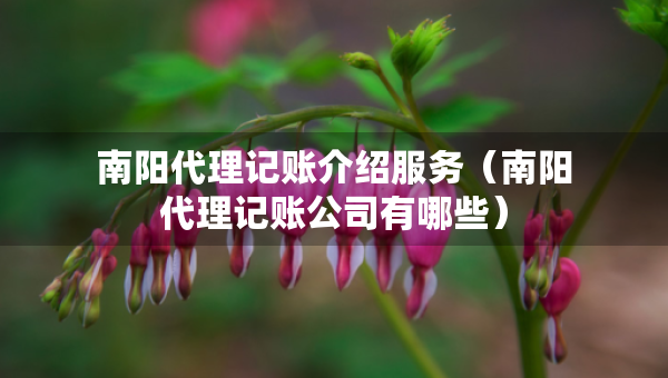 南阳代理记账介绍服务（南阳代理记账公司有哪些）