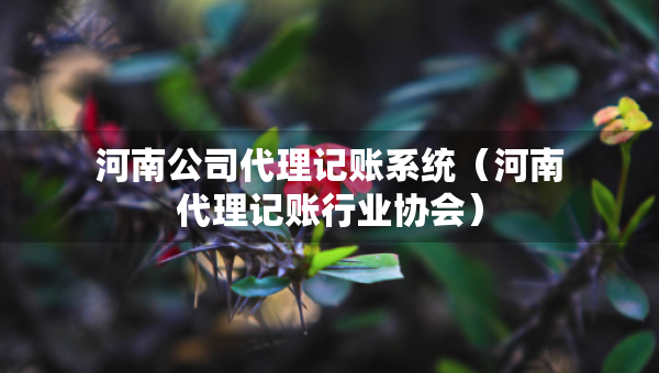 河南公司代理记账系统（河南代理记账行业协会）