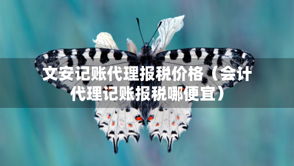 文安记账代理报税价格（会计代理记账报税哪便宜）