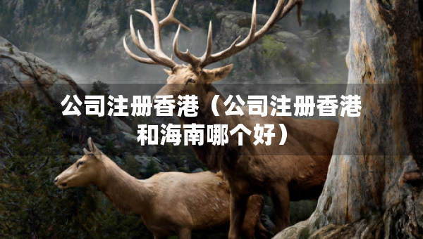 公司注册香港（公司注册香港和海南哪个好）
