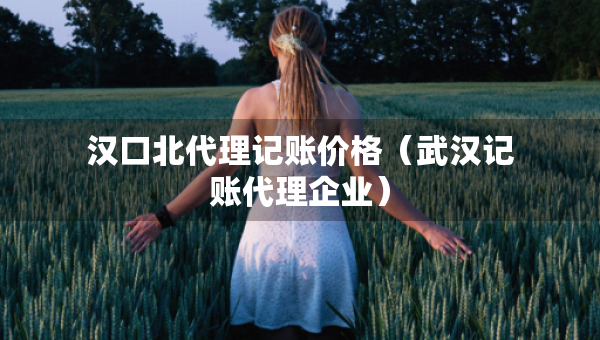汉口北代理记账价格（武汉记账代理企业）