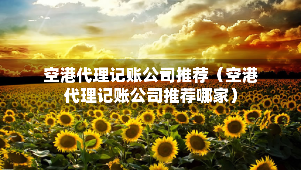 空港代理记账公司推荐（空港代理记账公司推荐哪家）