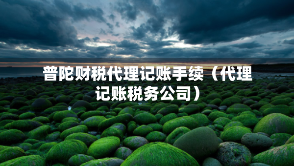 普陀财税代理记账手续（代理记账税务公司）
