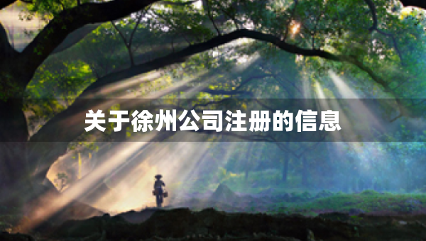 关于徐州公司注册的信息