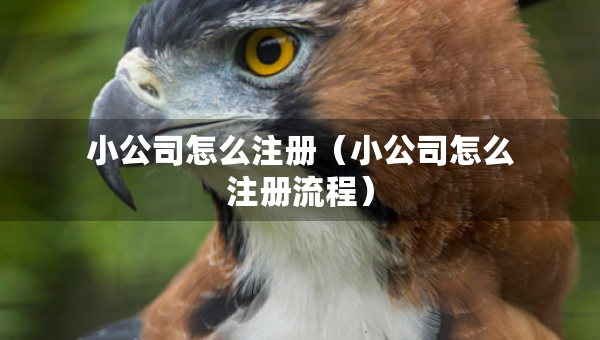 小公司怎么注册（小公司怎么注册流程）