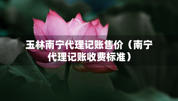 玉林南宁代理记账售价（南宁代理记账收费标准）