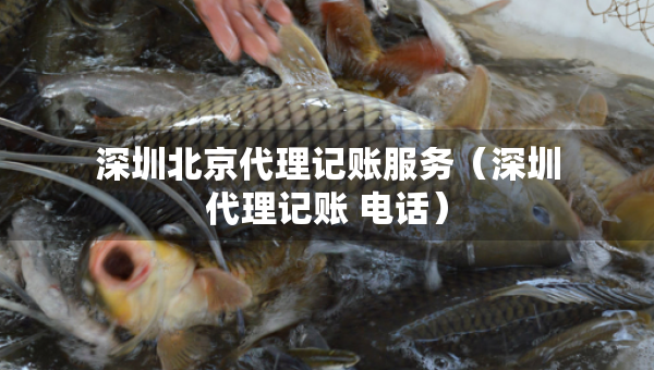 深圳北京代理记账服务（深圳代理记账 电话）