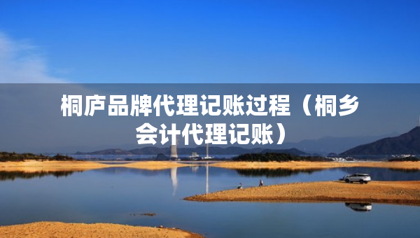 桐庐品牌代理记账过程（桐乡会计代理记账）