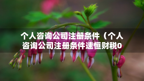 个人咨询公司注册条件（个人咨询公司注册条件速恒财税0元注册）