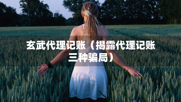 玄武代理记账（揭露代理记账三种骗局）