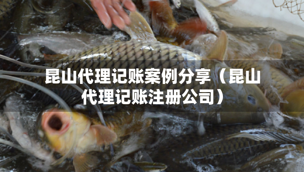 昆山代理记账案例分享（昆山代理记账注册公司）