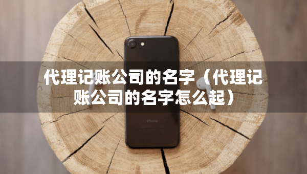 代理记账公司的名字（代理记账公司的名字怎么起）