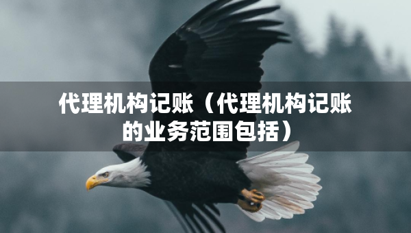 代理机构记账（代理机构记账的业务范围包括）