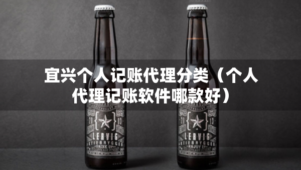 宜兴个人记账代理分类（个人代理记账软件哪款好）