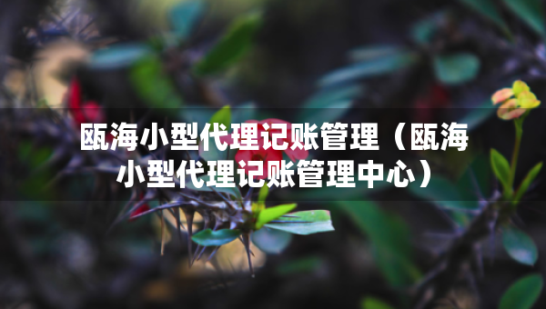 瓯海小型代理记账管理（瓯海小型代理记账管理中心）