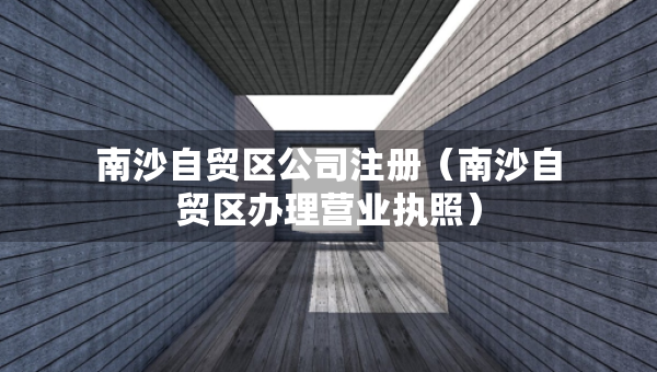 南沙自贸区公司注册（南沙自贸区办理营业执照）