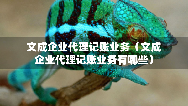 文成企业代理记账业务（文成企业代理记账业务有哪些）