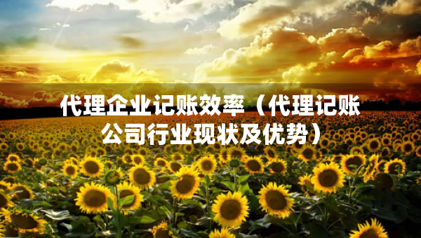 代理企业记账效率（代理记账公司行业现状及优势）