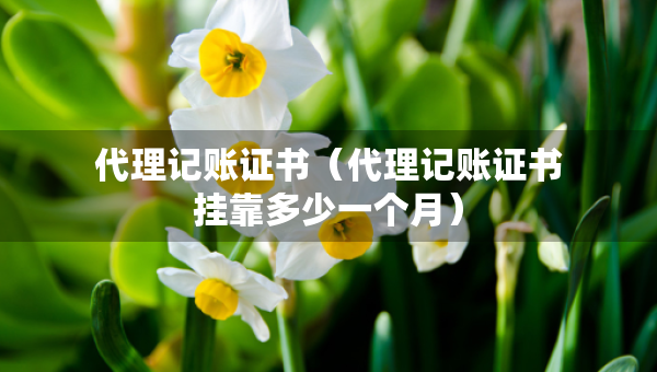 代理记账证书（代理记账证书挂靠多少一个月）