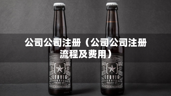 公司公司注册（公司公司注册流程及费用）
