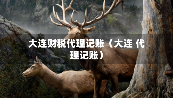 大连财税代理记账（大连 代理记账）