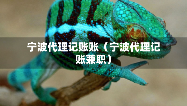 宁波代理记账账（宁波代理记账兼职）