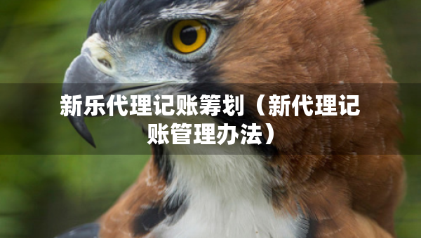 新乐代理记账筹划（新代理记账管理办法）