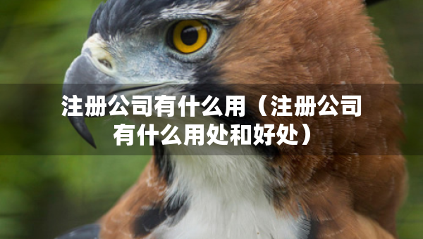 注册公司有什么用（注册公司有什么用处和好处）