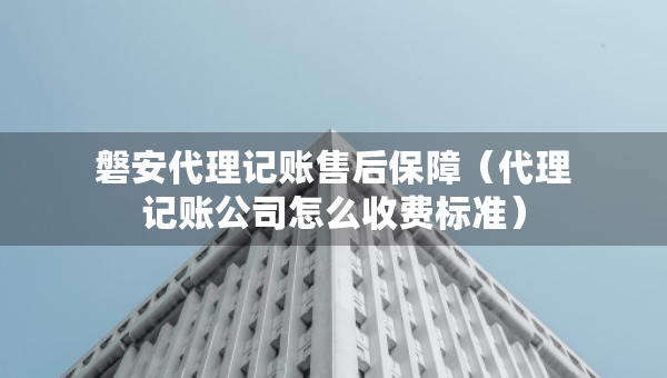 磐安代理记账售后保障（代理记账公司怎么收费标准）